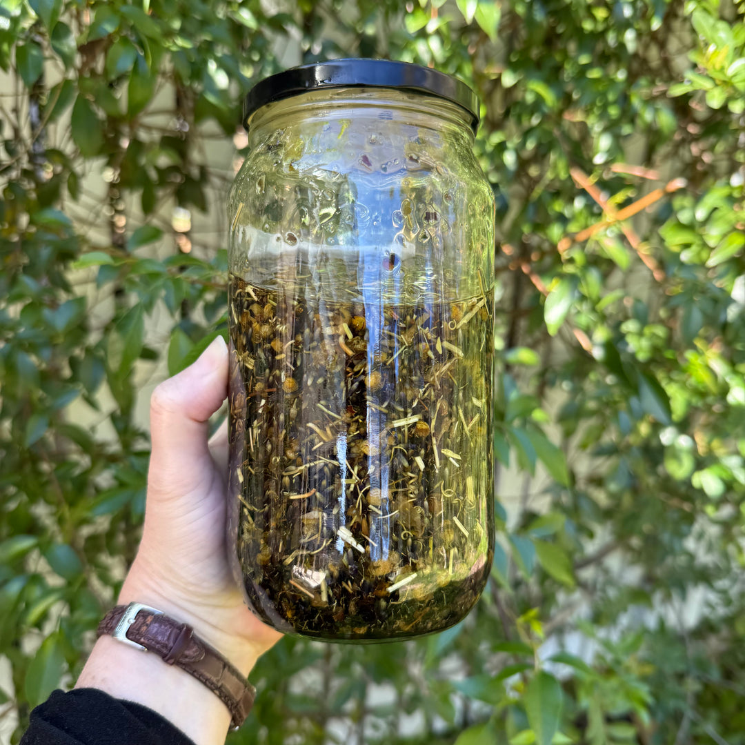 Jar of herbs infusing in olive oil