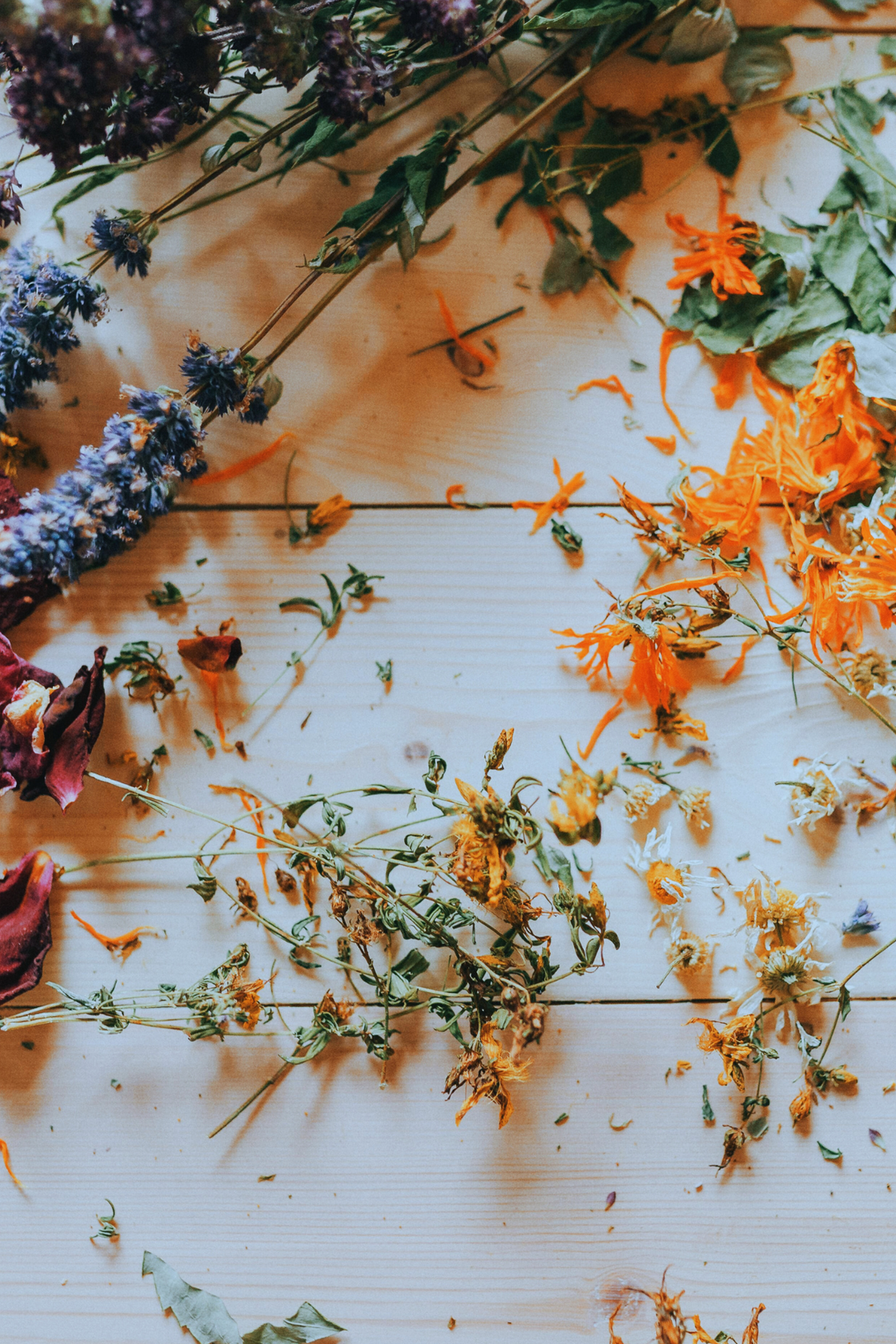 Gentle Nourishment of Whole Plant Skincare