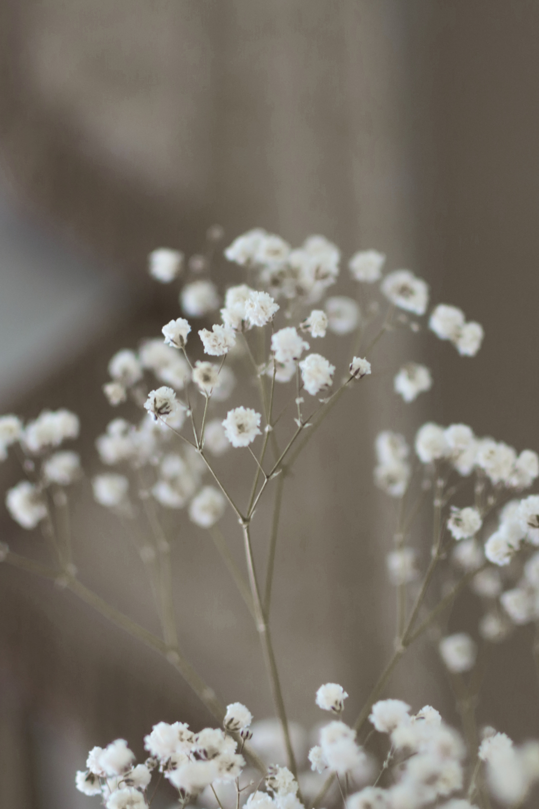 Slow beauty