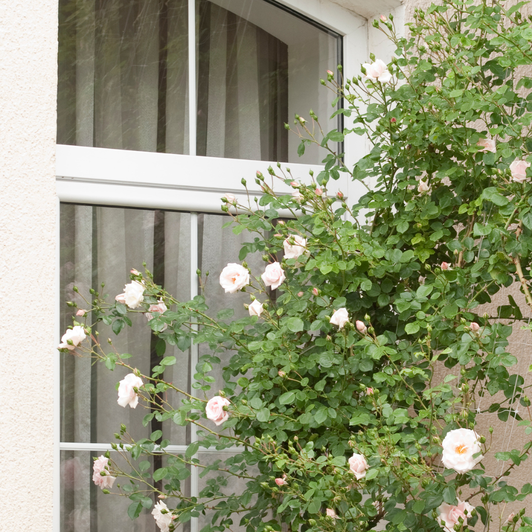 Slow Beauty and a returning to ritual, simplicity and radiant skin health