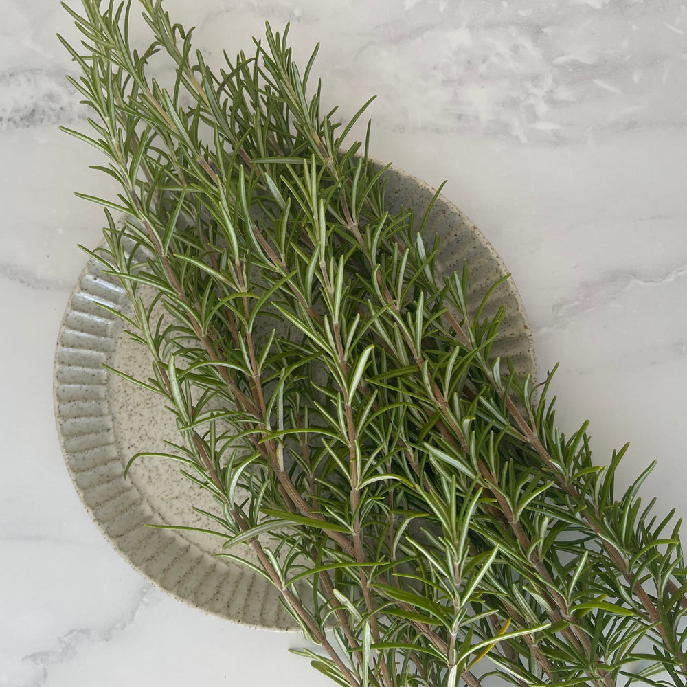Rosemary Hydrosol Mäesi Apothecary
