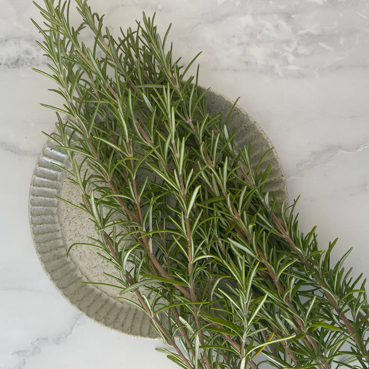 Rosemary Hydrosol Mäesi Apothecary